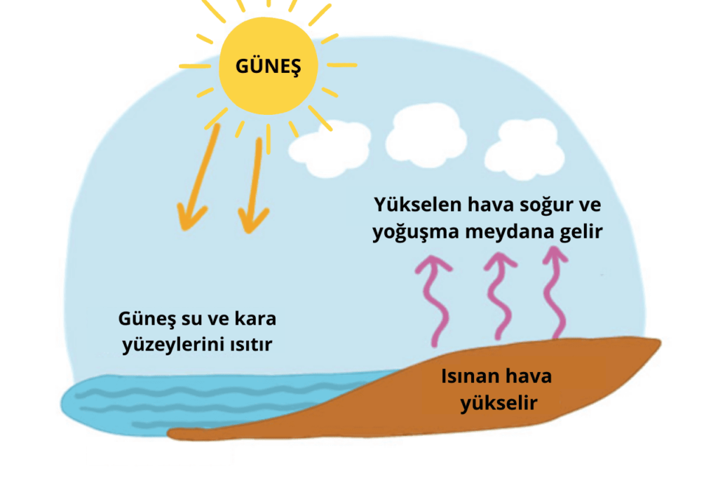 Bulut oluşum süreci: Buharlaşma, yükselme ve yoğuşma