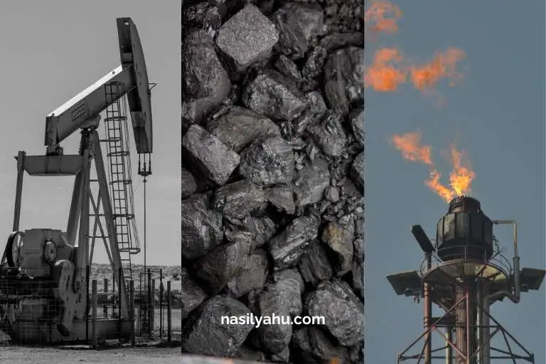 Sanayi devriminden bu tarafa en önemli enerji kaynakları olan fosil yakıtlar: Petrol, kömür ve doğal gaz