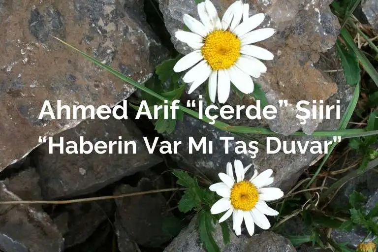 Ahmed Arif "İçerde" şiiri: Haberin var mı taş duvar?
