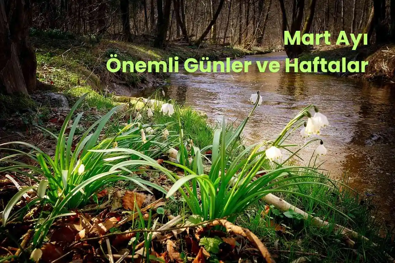 Mart ayı önemli günler ve haftalar